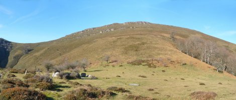 Pilotasoro, Buruzarko malkarren azpian