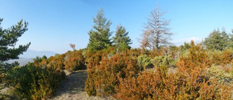 Landeta/Valdefuesako gainaldea