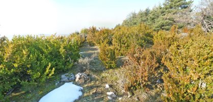 Valdefuesako gailurra, tako geodesikoa eta guzti