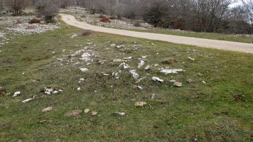 Tximua tumulua, Urbasa