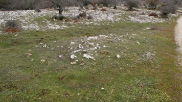 Tximua tumulua, Urbasa