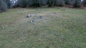 Larraonako Bidea ipar tumulua (2)