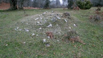 Larraonako Bidea ipar tumulua (4)