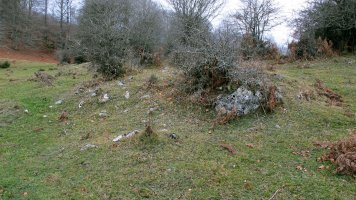 Larraonako Bidea ipar tumulua (5)