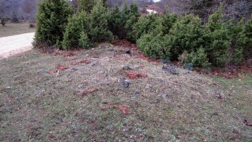 Larraonako bidea hego (1-UTM-561155-4738491)