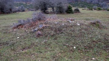 Larraonako bidea hego (2-UTM-561167-4738483)