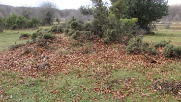 Ostalaza 3 (1-UTM-560130-4738495)