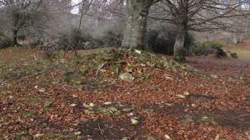 Ostalaza 3 (7-UTM-560139-4738545)