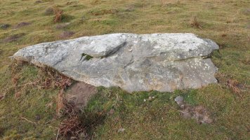 Ihizelaia zutarria, Azkaine