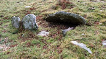 Ihizelaia trikuharria, Azkaine