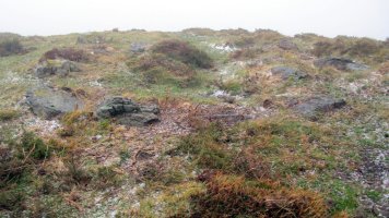 Urtsuia harrespila, Makea