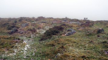 Urtsuia harrespila, Makea