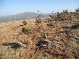 Plateau Vert ipar zista