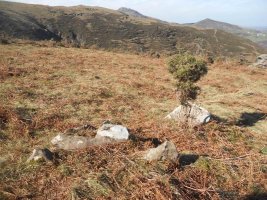 Plateau Vert ipar zista