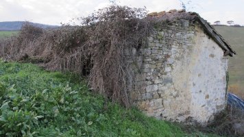 San Pedro ermita, Anotzibar