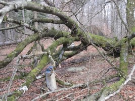 Dólmen Aitxu y Dólmen Praalata.