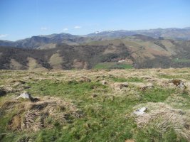 behorlegi mendebalde 1