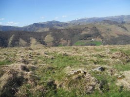 behorlegi mendebalde 2