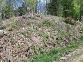 Dólmen Trikumuttegi  Abril 2013