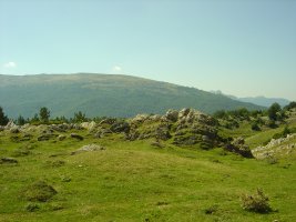 Eskilzarra Etxola Hondoa  Agosto 2011