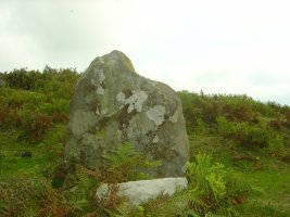 Menhir Ilso de Perutxote