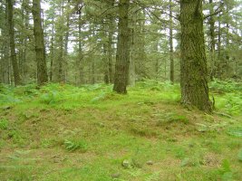 Túmulo Ipiñarrieta  Junio 2011