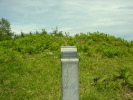 Dólmen Probazelaiburu 2  Junio 2011