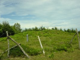 Dólmen Probazelaiburu 2  (Junio 2011)