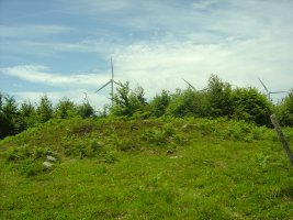 Dólmen Probazelaiburu 2  (Junio 2011)