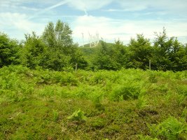 Dólmen Probazelaiburu 2  (Junio 2011)