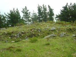 Túmulo Campo Ventoso 3    (Julio 2011)