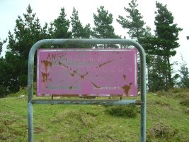 Dólmen Campo Ventoso  4    (Julio 2011)