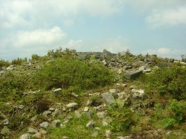 Dólmen Campo Ventoso 6  (Julio 2011)