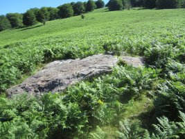 Menhir Berdaritz 2     (Julio 2012)