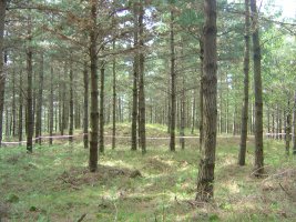 Dólmen Mejandi  (Mayo 2012)