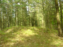 Dólmen Mejandi  (Mayo 2012)