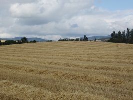 Túmulo Lakondoa   (Agosto 2012)