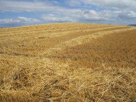 Túmulo Lakondoa  (Agosto 2012)