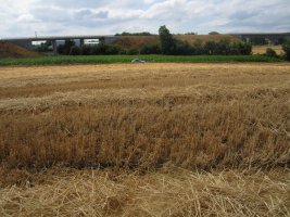 Túmulo Lakondoa   (Agosto 2012)