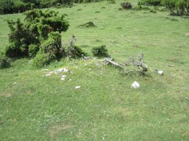 Túmulo Txintxaleze 2 mendebal    (Junio 2012)