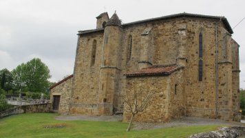 Asuncion eliza, Erango