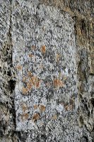 Ermita S.Bartolomé- Angostina