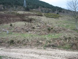 Dólmen Landarbaso VI    03 -2013