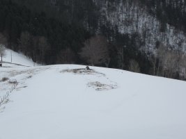 Dólmen Larrarte    03-2013