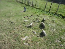 Cista Atxurbi   03-2013