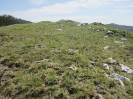 Cromlechs Abade Kurutz   (Abril 2013)