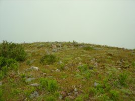 Dólmen Saiputzueta  (06-2009)