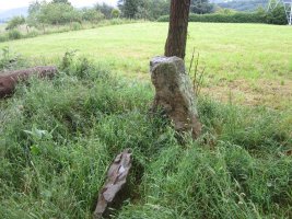 Cista Mariola  06-2013