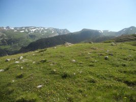 Barranco de Tacheras trikuharria