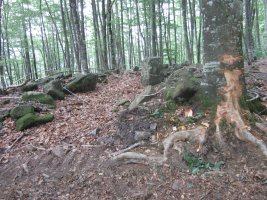 Dólmen Jentilzulo  (Julio  2013)